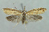  ( - BGE_00270_G05)  @11 [ ] Creative Commons  Attribution Non-Commercial Share-Alike (2024) Kai Berggren NTNU University Museum, Department of Natural History