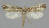  ( - BGE_00270_H03)  @11 [ ] Creative Commons  Attribution Non-Commercial Share-Alike (2024) Kai Berggren NTNU University Museum, Department of Natural History