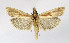  ( - BGE_00257_B05)  @11 [ ] Creative Commons  Attribution Non-Commercial Share-Alike (2025) Kai Berggren NTNU University Museum, Department of Natural History