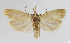  ( - BGE_00257_B10)  @11 [ ] Creative Commons  Attribution Non-Commercial Share-Alike (2025) Kai Berggren NTNU University Museum, Department of Natural History