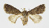  ( - BGE_00257_C07)  @11 [ ] Creative Commons  Attribution Non-Commercial Share-Alike (2025) Kai Berggren NTNU University Museum, Department of Natural History