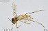  ( - BGE_00259_B06)  @11 [ ] Creative Commons  Attribution Non-Commercial Share-Alike (2024) NTNU University Museum, Department of Natural History NTNU University Museum, Department of Natural History