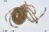  ( - BGE_00227_B07)  @11 [ ] Creative Commons  Attribution Non-Commercial Share-Alike (2023) NTNU University Museum, Department of Natural History NTNU University Museum, Department of Natural History