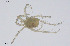  ( - BGE_00227_H04)  @11 [ ] Creative Commons  Attribution Non-Commercial Share-Alike (2023) NTNU University Museum, Department of Natural History NTNU University Museum, Department of Natural History