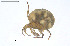  ( - BGE_00228_C02)  @11 [ ] Creative Commons  Attribution Non-Commercial Share-Alike (2023) NTNU University Museum, Department of Natural History NTNU University Museum, Department of Natural History