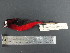  ( - MJM 7162)  @12 [ ] CreativeCommons - Attribution Non-Commercial (2012) Matthew J. MIller Smithsonian Tropical Research Institute