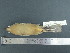  ( - MJM 7346)  @12 [ ] CreativeCommons - Attribution Non-Commercial (2012) Matthew J. MIller Smithsonian Tropical Research Institute