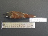  ( - MJM 7367)  @12 [ ] CreativeCommons - Attribution Non-Commercial (2012) Matthew J. MIller Smithsonian Tropical Research Institute