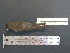  ( - MJM 7371)  @12 [ ] CreativeCommons - Attribution Non-Commercial (2012) Matthew J. MIller Smithsonian Tropical Research Institute
