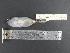  ( - MJM 7418)  @12 [ ] CreativeCommons - Attribution Non-Commercial (2012) Matthew J. MIller Smithsonian Tropical Research Institute