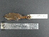  ( - MJM 7832)  @12 [ ] CreativeCommons - Attribution Non-Commercial (2012) Matthew J. MIller Smithsonian Tropical Research Institute