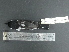  ( - MJM 7886)  @13 [ ] CreativeCommons - Attribution Non-Commercial (2012) Matthew J. MIller Smithsonian Tropical Research Institute