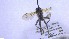  ( - NHMO-ENT-252957)  @11 [ ] by-nc-sa (2023) Unspecified University of Oslo, Natural History Museum
