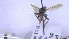  ( - NHMO-ENT-252957)  @11 [ ] by-nc-sa (2023) Unspecified University of Oslo, Natural History Museum