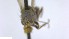  ( - NHMO-ENT-53583)  @11 [ ] by-nc-sa (2023) Unspecified University of Oslo, Natural History Museum