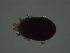  ( - hgb11510a)  @11 [ ] Copyright (2018) Caleb Ryan and Hugh Broders University of Waterloo