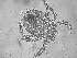  ( - hgb4372a)  @11 [ ] Copyright (2018) Caleb Ryan and Hugh Broders University of Waterloo