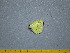  (Eurema xantochlora - A4_120_20221204_P16)  @11 [ ] CreativeCommons Attribution Non-Commercial Share-Alike (2024) Arne Weinhold LMU Munich