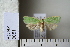  ( - CCDB-11131-E03)  @13 [ ] Copyright  B. Zlatkov 2011 Unspecified