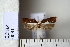  ( - CCDB-11131-F01)  @13 [ ] Copyright  B. Zlatkov 2011 Unspecified
