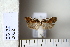  ( - CCDB-11131-F02)  @13 [ ] Copyright  B. Zlatkov 2011 Unspecified