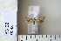  ( - CCDB-11131-H04)  @12 [ ] Copyright  B. Zlatkov 2011 Unspecified