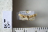  ( - CCDB-11131-H07)  @12 [ ] Copyright  B. Zlatkov 2011 Unspecified