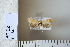  ( - CCDB-11132-B07)  @12 [ ] Copyright  B. Zlatkov 2011 Unspecified