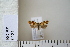  ( - CCDB-11132-C02)  @12 [ ] Copyright  B. Zlatkov 2011 Unspecified