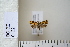  ( - CCDB-11132-C03)  @12 [ ] Copyright  B. Zlatkov 2011 Unspecified