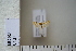  ( - CCDB-11132-D06)  @12 [ ] Copyright  B. Zlatkov 2011 Unspecified