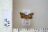  ( - CCDB-11132-F11)  @12 [ ] Copyright  B. Zlatkov 2011 Unspecified