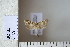  ( - CCDB-11132-G02)  @12 [ ] Copyright  B. Zlatkov 2011 Unspecified
