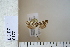  ( - CCDB-11132-G03)  @12 [ ] Copyright  B. Zlatkov 2011 Unspecified