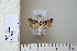  ( - CCDB-11132-G08)  @12 [ ] Copyright  B. Zlatkov 2011 Unspecified