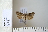  ( - CCDB-11132-G09)  @12 [ ] Copyright  B. Zlatkov 2011 Unspecified