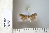  ( - CCDB-11132-G10)  @11 [ ] Copyright  B. Zlatkov 2011 Unspecified