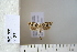  ( - CCDB-11132-H08)  @12 [ ] Copyright  B. Zlatkov 2011 Unspecified