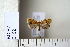  ( - CCDB-11133-A02)  @12 [ ] Copyright  B. Zlatkov 2011 Unspecified