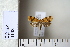 ( - CCDB-11133-A03)  @12 [ ] Copyright  B. Zlatkov 2011 Unspecified