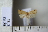  ( - CCDB-11133-A05)  @13 [ ] Copyright  B. Zlatkov 2011 Unspecified