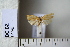  ( - CCDB-11133-A06)  @12 [ ] Copyright  B. Zlatkov 2011 Unspecified