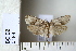  ( - CCDB-11133-A08)  @12 [ ] Copyright  B. Zlatkov 2011 Unspecified