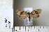  ( - CCDB-11133-A09)  @12 [ ] Copyright  B. Zlatkov 2011 Unspecified