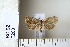  ( - CCDB-11133-A10)  @12 [ ] Copyright  B. Zlatkov 2011 Unspecified
