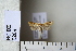  ( - CCDB-11133-B07)  @12 [ ] Copyright  B. Zlatkov 2011 Unspecified