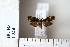  ( - CCDB-11133-E06)  @13 [ ] Copyright  B. Zlatkov 2011 Unspecified