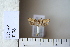  ( - CCDB-11134-B01)  @12 [ ] Copyright  B. Zlatkov 2011 Unspecified