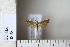  ( - CCDB-11134-D07)  @12 [ ] Copyright  B. Zlatkov 2011 Unspecified