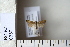  ( - CCDB-11134-D09)  @12 [ ] Copyright  B. Zlatkov 2011 Unspecified